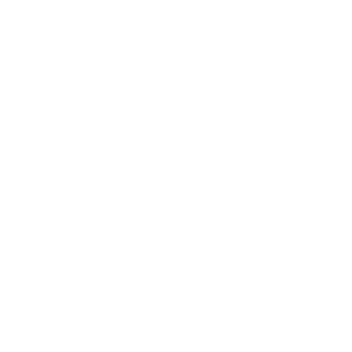 Institutional Support